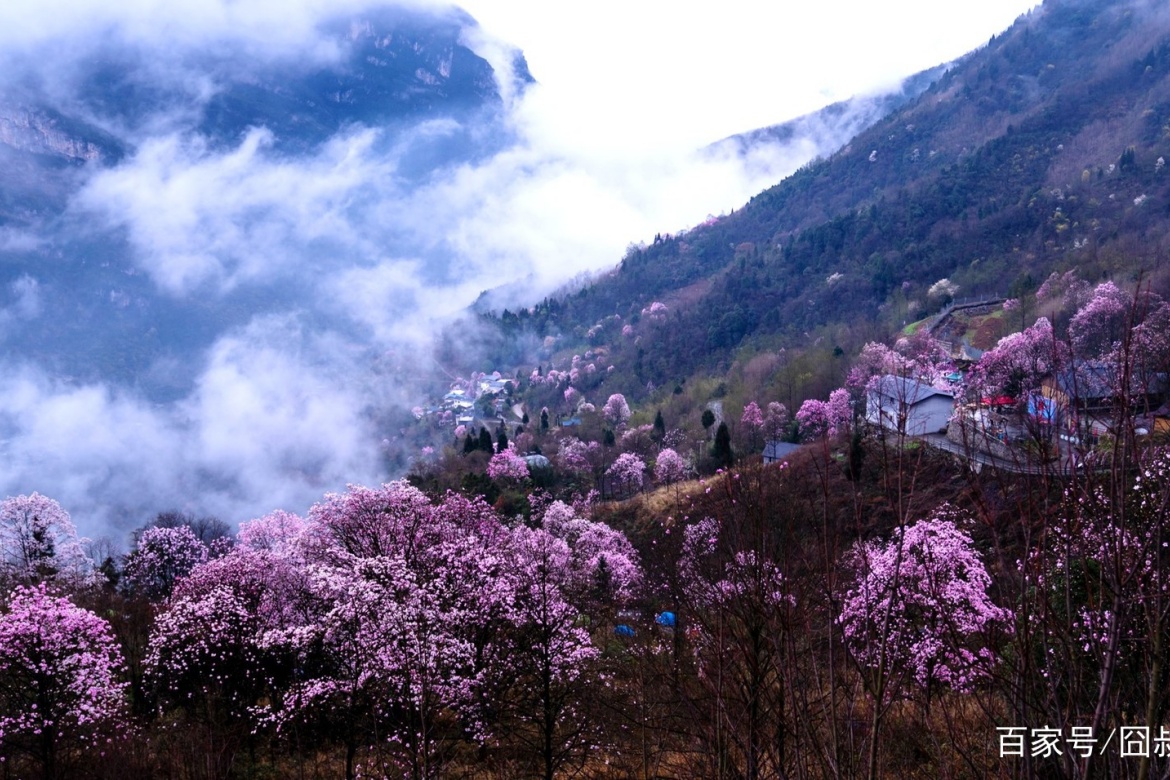 Beichuan Yaowang Valley
